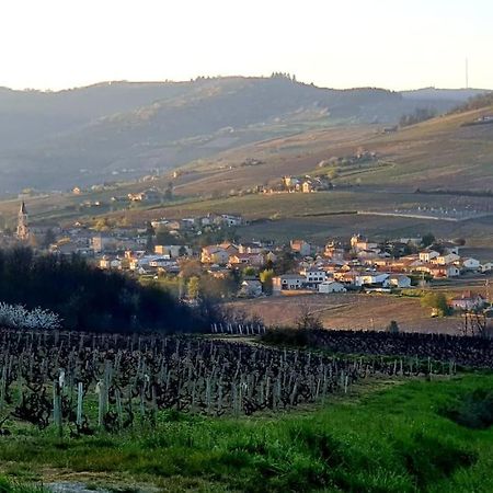Au Coeur Des Vignes Chenas Du Beaujolais Lägenhet La Chapelle-de-Guinchay Exteriör bild