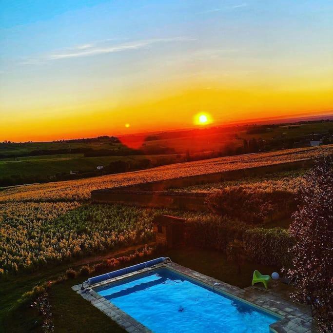 Au Coeur Des Vignes Chenas Du Beaujolais Lägenhet La Chapelle-de-Guinchay Exteriör bild