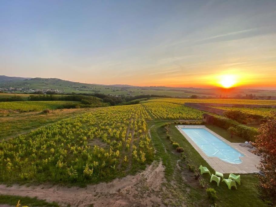 Au Coeur Des Vignes Chenas Du Beaujolais Lägenhet La Chapelle-de-Guinchay Exteriör bild