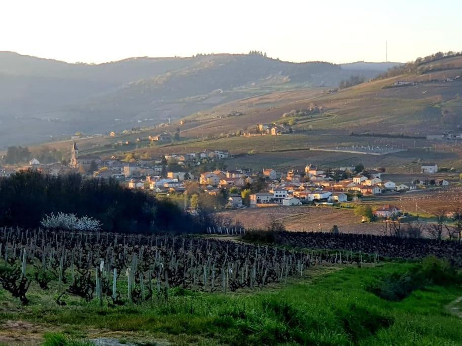 Au Coeur Des Vignes Chenas Du Beaujolais Lägenhet La Chapelle-de-Guinchay Exteriör bild